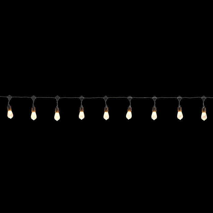 Williston Marro 7.5'' Indoor LED Battery Powered 10 Bulb Globe